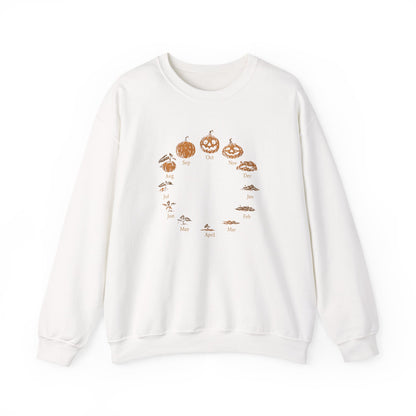 Pumpkin Life Cycle Sweatshirt