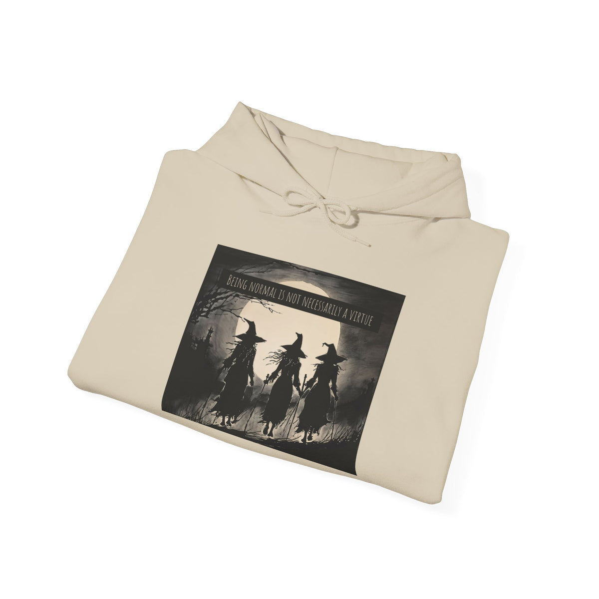 Being Normal is Not Necessarily a Virtue Hoodie
