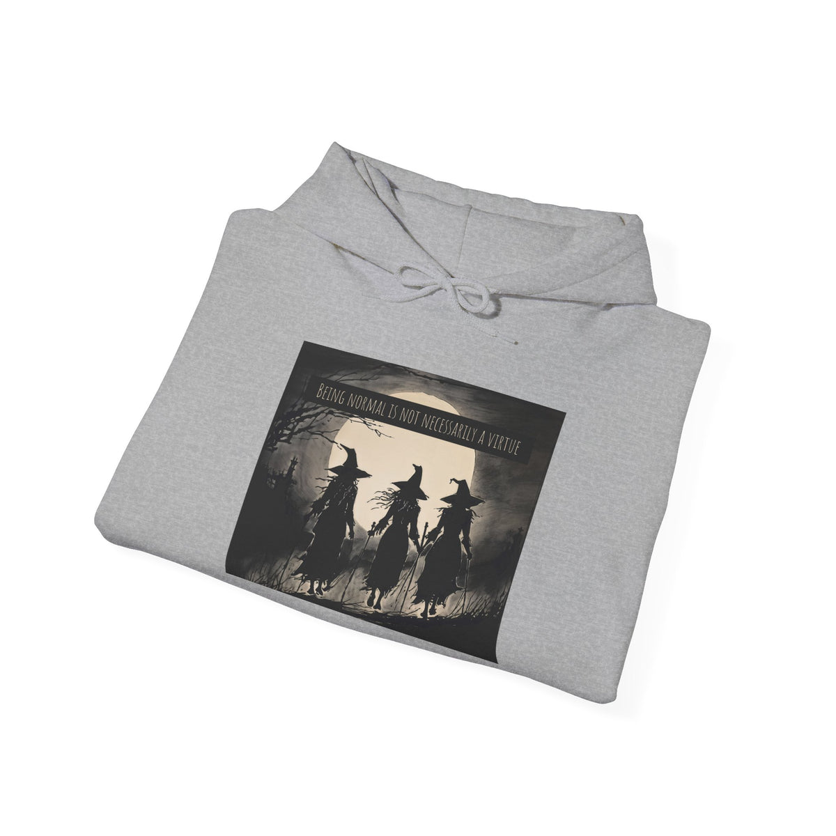 Being Normal is Not Necessarily a Virtue Hoodie